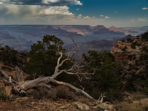 Grand Canyon